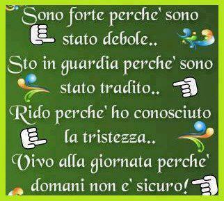 Immagine Divertente - 24/12/2012