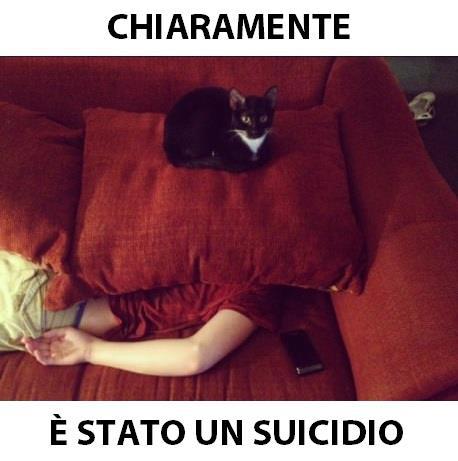 Immagine Divertente - 26/12/2012