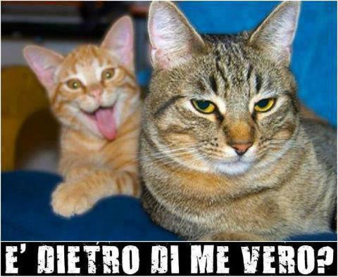 Immagine Divertente - 31/10/2012