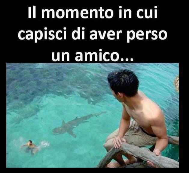 Immagine Divertente - 01/11/2012