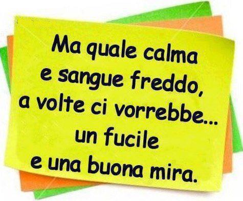 Immagine Divertente - 03/11/2012