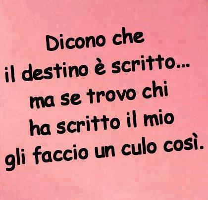 Immagine Divertente - 16/11/2012