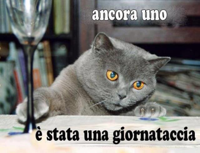 Immagine Divertente - 09/12/2012
