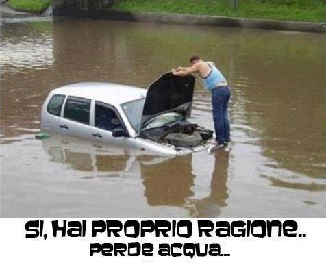 Immagine Divertente - 14/12/2012