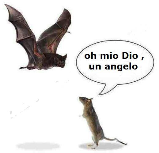 Immagine Divertente - 15/10/2012