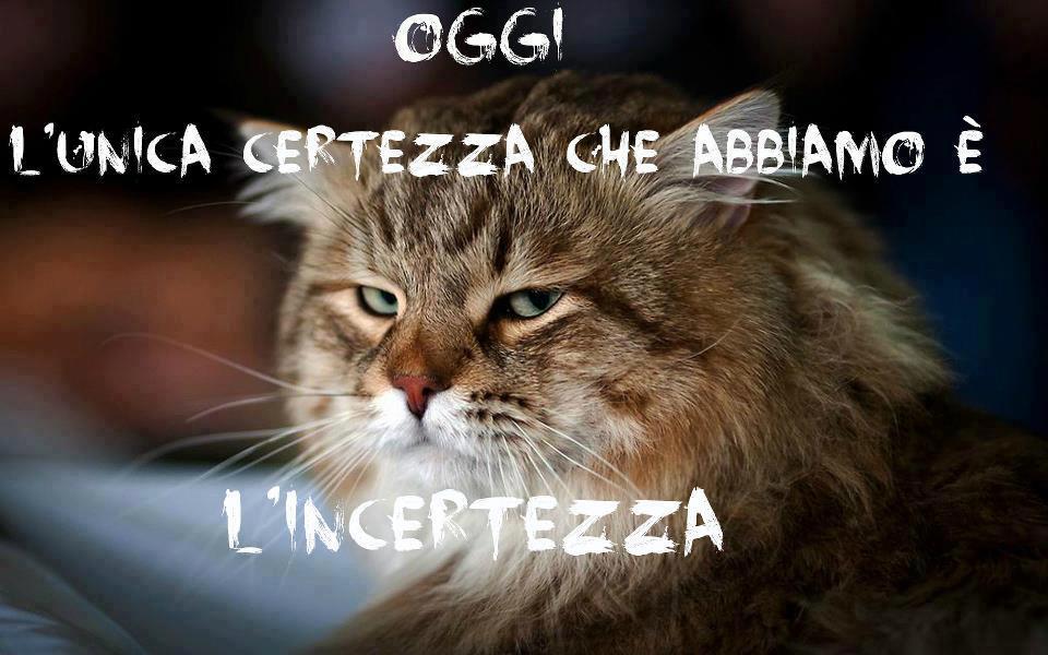 Immagine Divertente - 19/10/2012