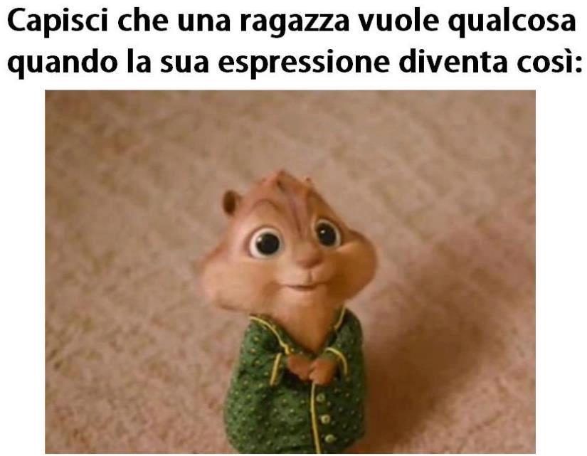 Immagine Divertente - 30/10/2012