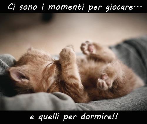 Immagine Divertente - 06/11/2012