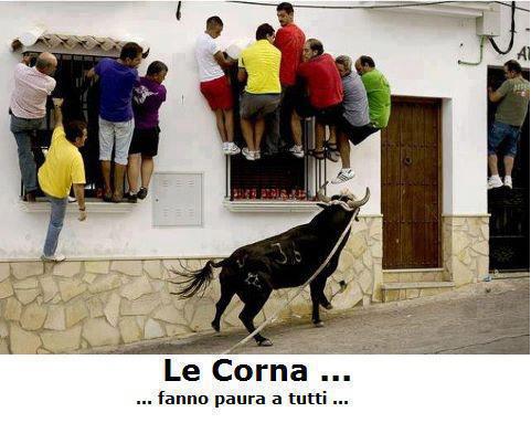 Immagine Divertente - 20/11/2012