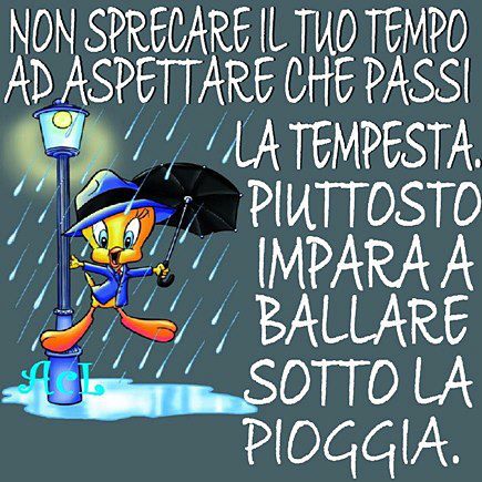 Vignetta Divertente - 22/11/2012