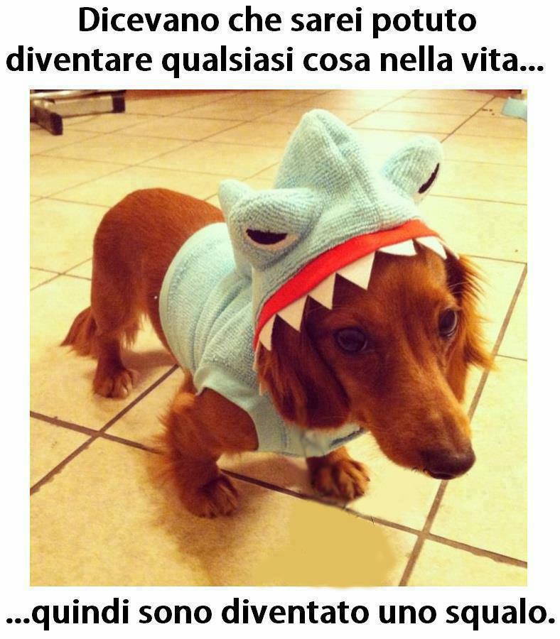 Immagine Divertente - 05/12/2012