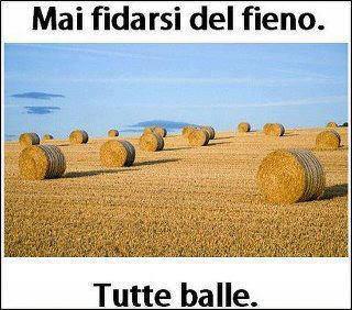 Immagine Divertente - 31/10/2012
