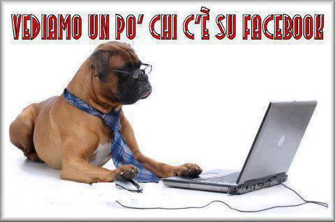 Immagine Divertente - 11/11/2012