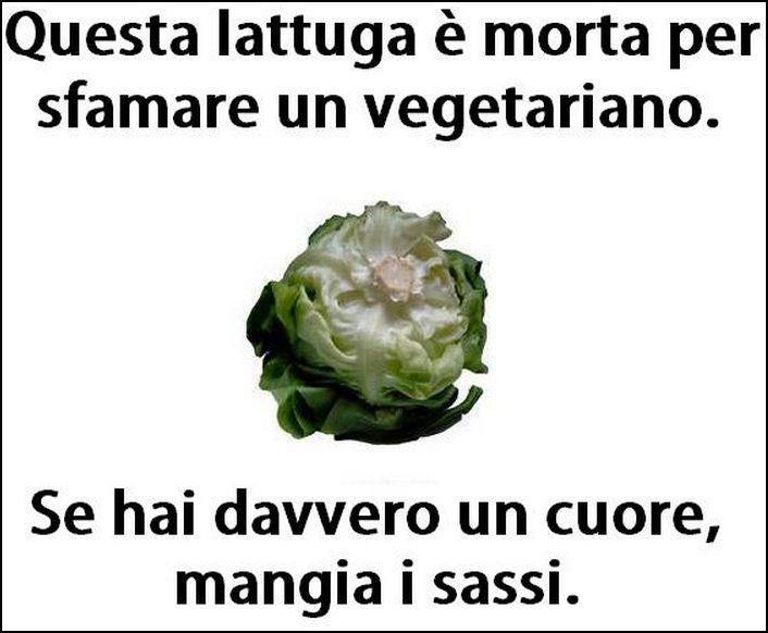 Immagine Divertente - 21/11/2012