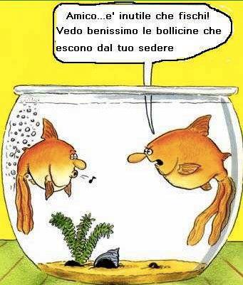Vignetta Divertente - 21/11/2012