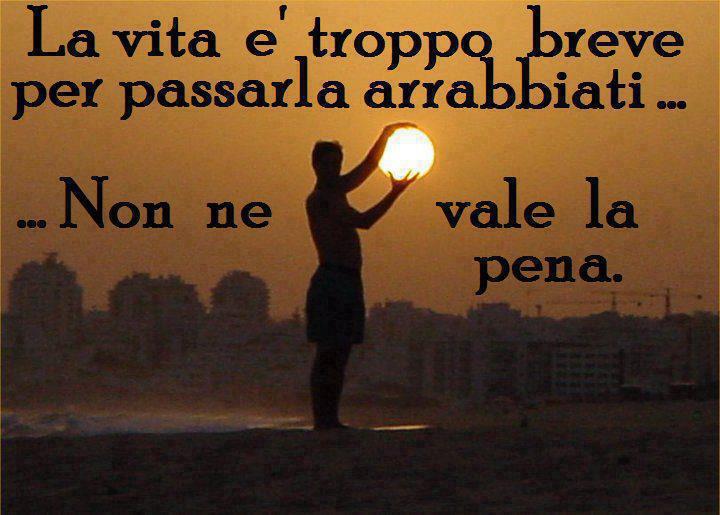 Immagine Divertente - 03/11/2012