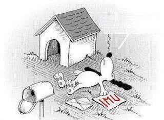 Vignetta Divertente - 12/06/2012