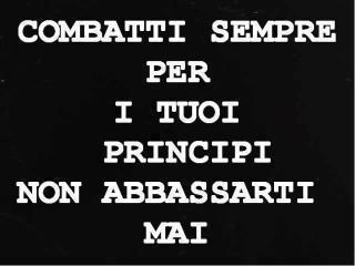Immagine Divertente - 15/10/2012