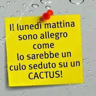 Immagine Divertente - 24/12/2012