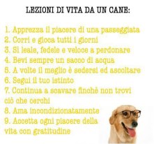 Immagine Divertente - 30/11/2012