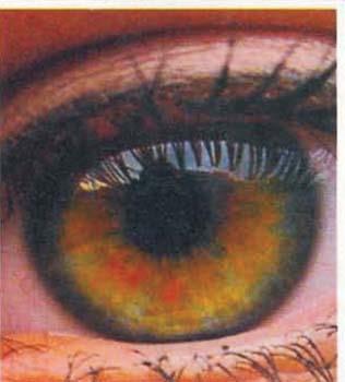 Er significato del colore degli occhi: - 10/04/2012