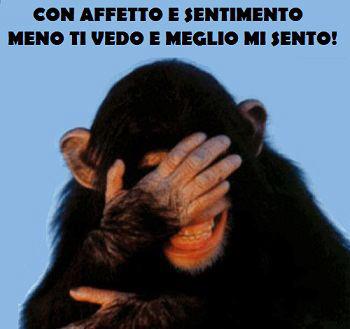 Immagine Divertente - 18/11/2012