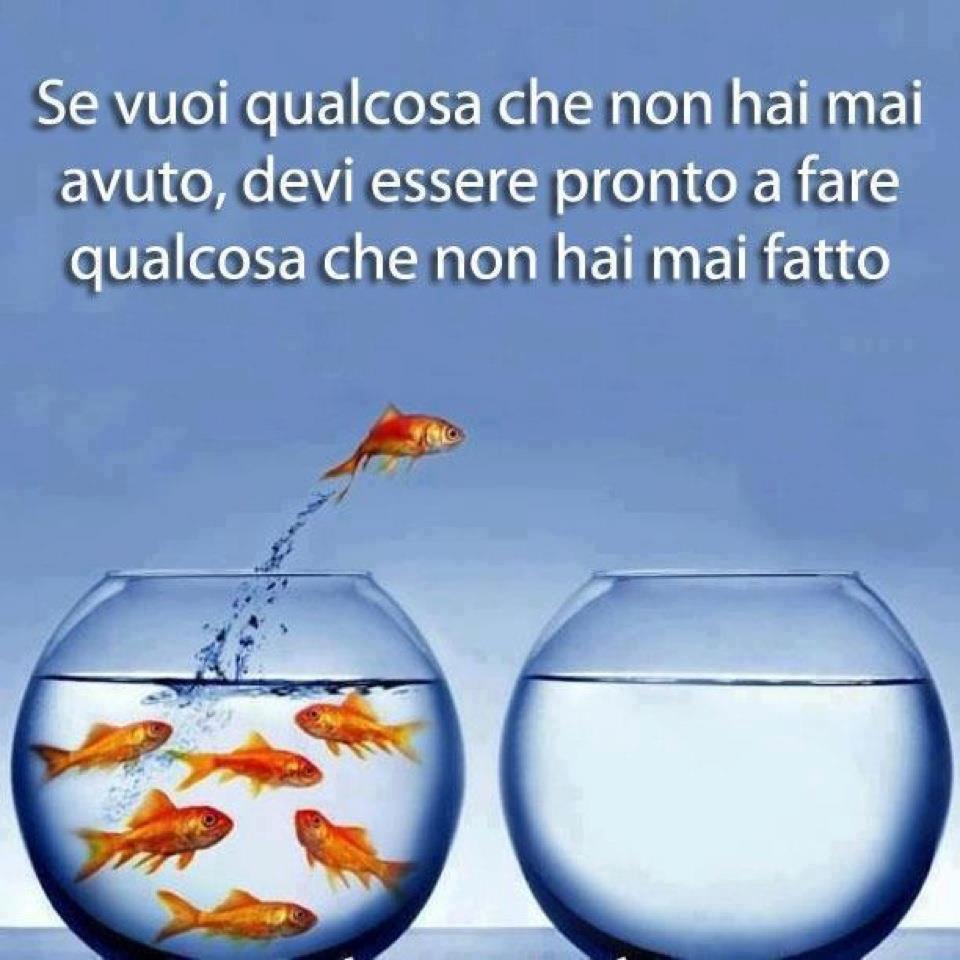 Immagine Divertente - 23/11/2012