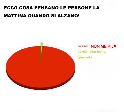 Immagine Divertente - 30/11/2012