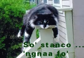 NUN CE LA POSSO FA' !! - 22/04/2012