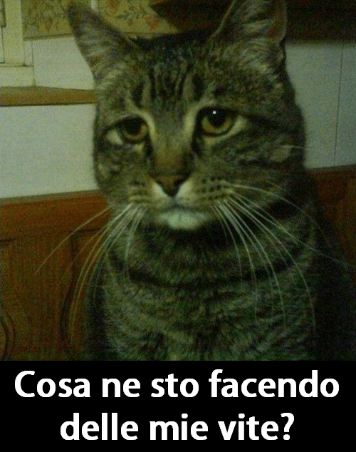 ME SERVE 'O PSICOLOGO !! - 29/11/2012