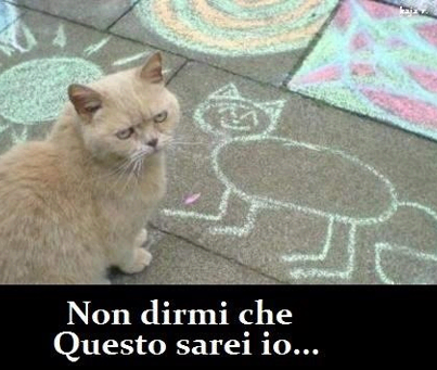 NUN ME DI' !! - 01/12/2012