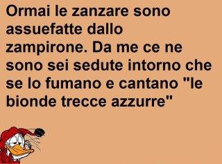 NUN C'E' RIMEDIO !! - 22/05/2012