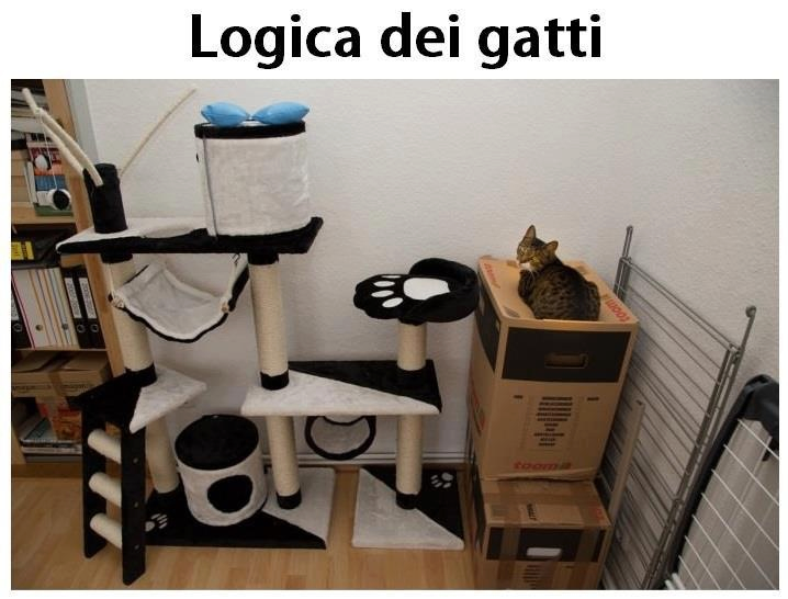 'NA LOGICA TUTTA LORO !! - 05/11/2012