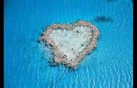 Scherzo della natura - 19/03/2012