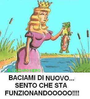 Vignetta Divertente - 26/04/2012