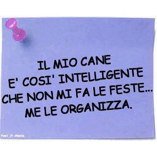 ER MIO CANE !! - 19/03/2012