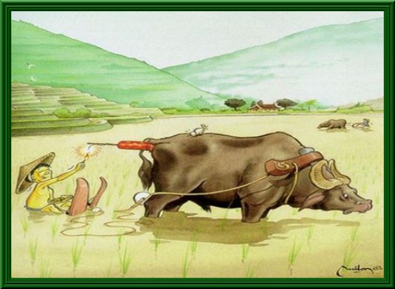 Vignetta Divertente - 23/03/2012