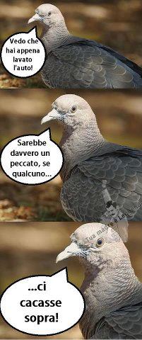 Immagine Divertente - 26/07/2012