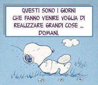 Immagine Divertente - 15/03/2013