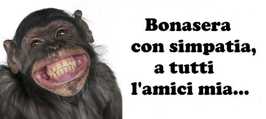 Immagine Divertente - 12/02/2013