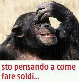 Immagine Divertente - 12/02/2013