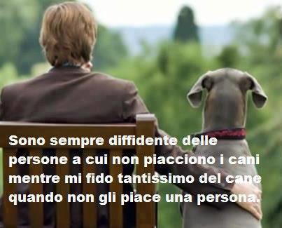 Immagine Divertente - 07/04/2013