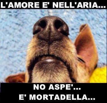 Immagine Divertente - 22/09/2013