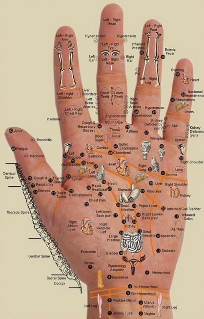PALMO DELLA MANO: ECCO I PUNTI DA PREMERE QUANDO TI FA MALE QUALCOSA - GUARDA - 11/02/2016