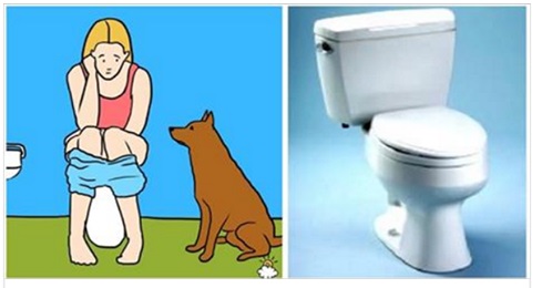 SE IL TUO CANE TI SEGUE AL BAGNO, NON IGNORARLO: STA CERCANDO DI DIRTI UNA COSA IMPORTANTE - 18/01/2017