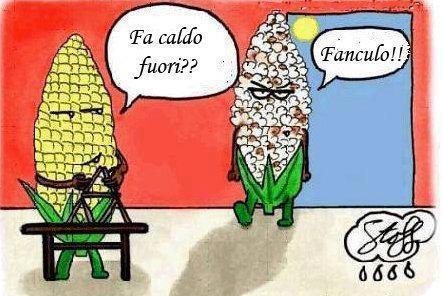 Vignetta Divertente - 18/06/2012
