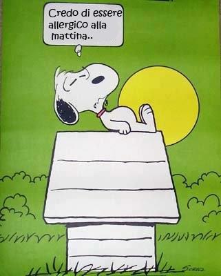 Vignetta Divertente - 30/11/2012