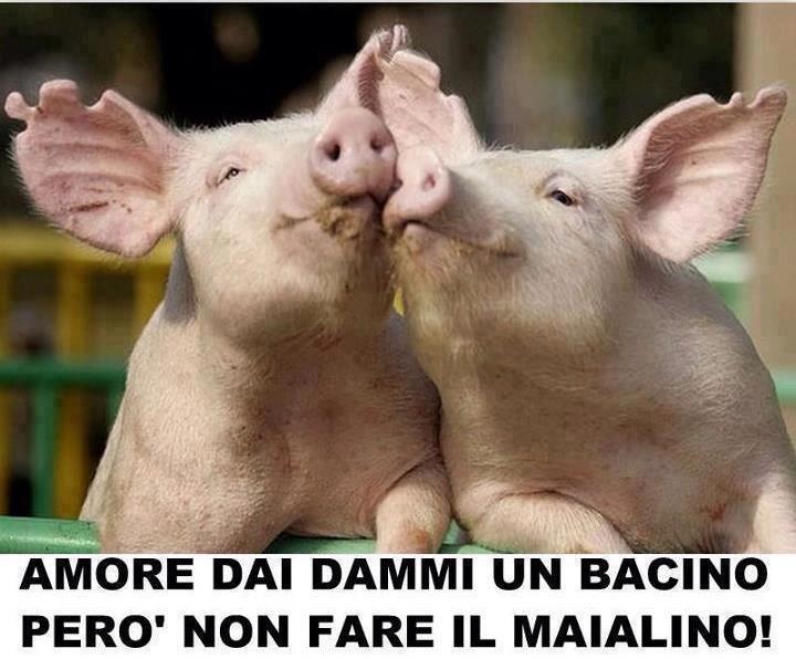 Immagine Divertente - 16/12/2012
