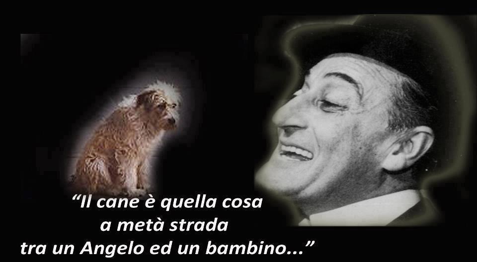 Immagine Divertente - 19/11/2012