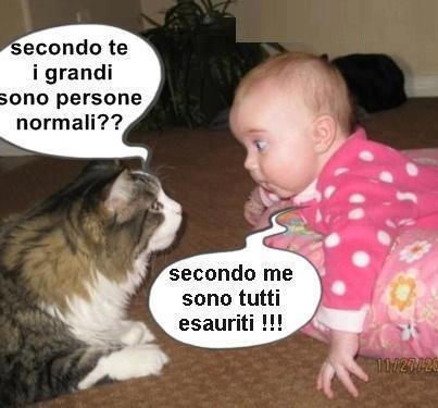 Immagine Divertente - 09/12/2012